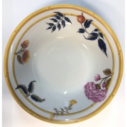 Aurora tropicale coppetta Aurora tropicale coppetta